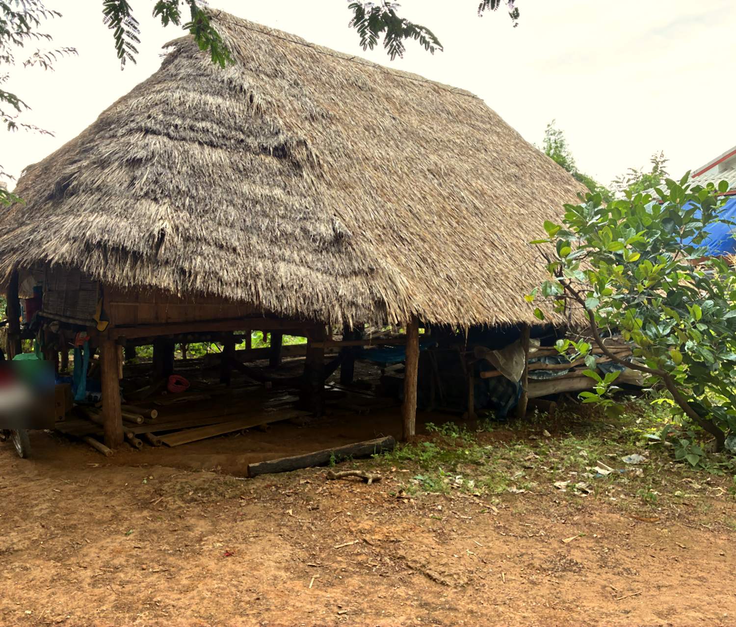 A thatched house on stilts with a motorbike parked underneath